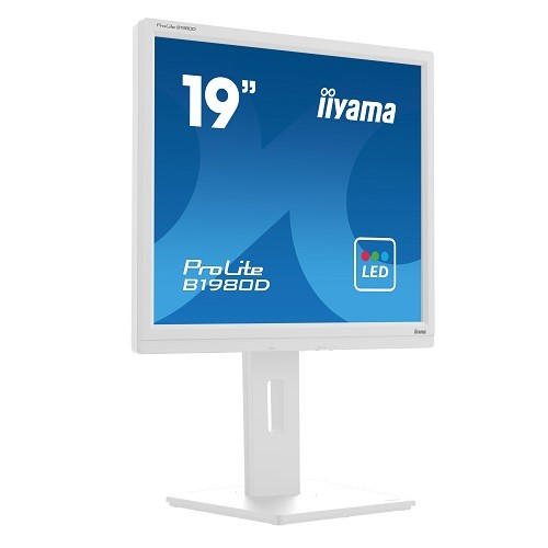 iiyama ProLite B1980D Monitor (19 Zoll)